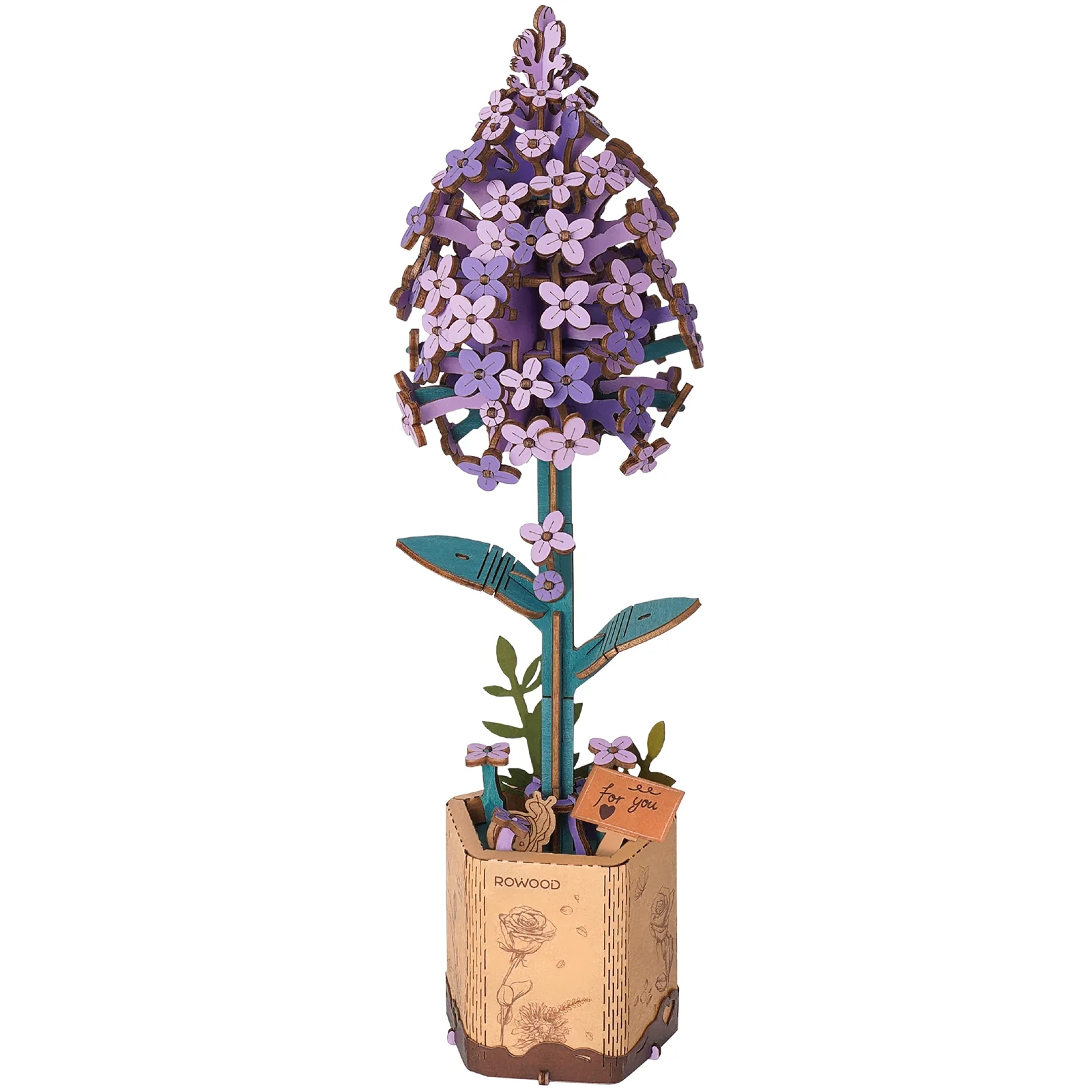 Miniatuur 1